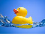 Ducky Army Fan