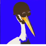 ZOOSKINGDOM)ZK)