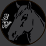BlackWidow Riding Academy: Barrel Racing Comp Team