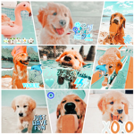 Evie’s~group