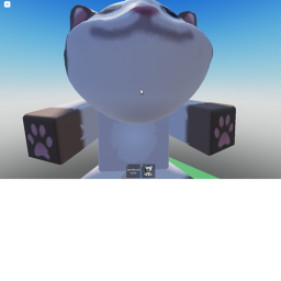 Cat obby