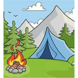 Camping Survival
