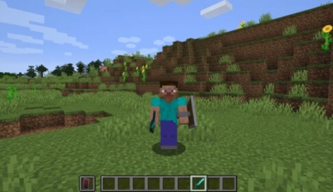 Best Minecraft [HUNGER!!!]