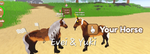 Butterflyy Shark Equestrians