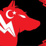 WolfTurk