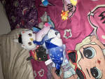 Emily cats