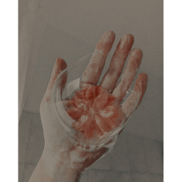 - Antixxks -