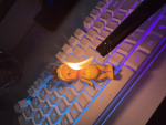 Sofia needs robux