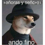 Los finos y caballeroso