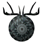 ✅Eye of Ruined Fractal