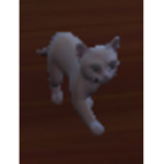 [Lowercase Attitude]