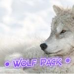 •The Wolf pack Official •