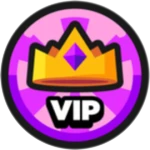 VIP⭐
