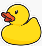 THE DUCKHAT GANG