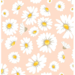 Sunflower live