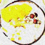 COOL FRUITS INCORPORATED