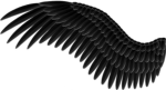 The_Black_Wings