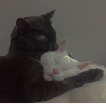 CUTIES...
