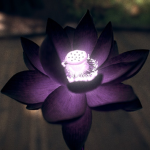 Ater Lotus Group Thumbnail