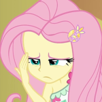 shy ponies