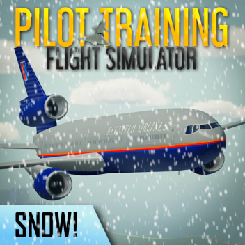 Pilot Training Flight Simulator