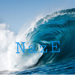 NazE Clothing