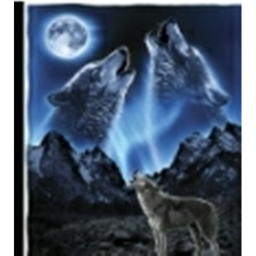 Wolf Trek