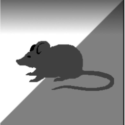 Battle of the Ratsome