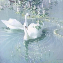୨⋅ ˚ ✰ ˚ ⋅⋆୧