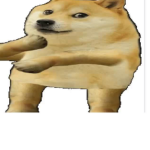 THE DOGE GROUP NO FURRYS THO
