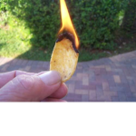 warmchips fan club