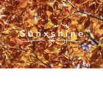 .S u n x S h i n e.