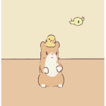 Sh a w ty