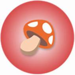 Mushrooms Hats
