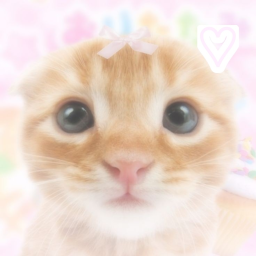 <3