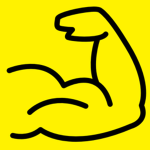 Muscle Studio