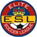 Elite soccer pros.