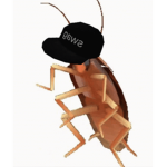 R0ACH!