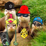 The Otter Gang Official