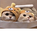 ᒪOOK ᗷᗴᕼIᑎᗪ ᑌ