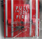 Fire Spiders