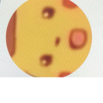 I’m going to poop in your face