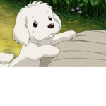Group with puppy’s