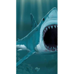 Team fish/shark