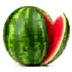 KAUNCIK