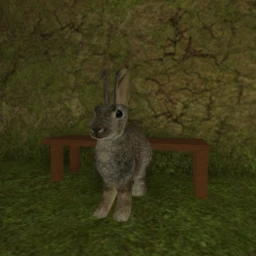 Rabbit Wildlife icon