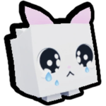 Cat is best you like cat