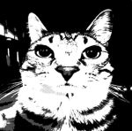 Ello its just me