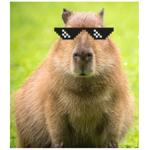 Fastrexy gang