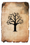 The Midnight Woodlands